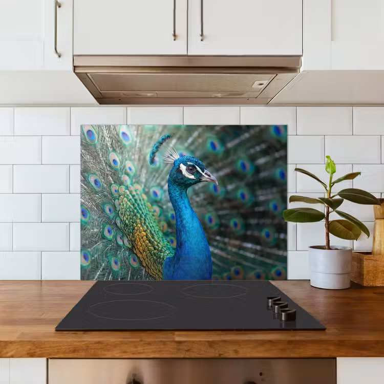 Pauw - Veren - Blauw keuken achterwand 2 middel -sfeer4_NL