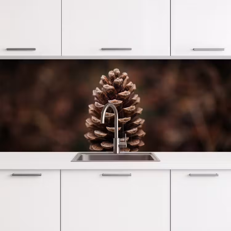 Dennenappel - Bos - Herfst - Bruin - Sfeervol keuken achterwand 2 middel -3d