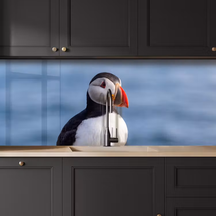 Papegaaiduiker - Portret - Natuur keuken achterwand 2 middel -sfeer1