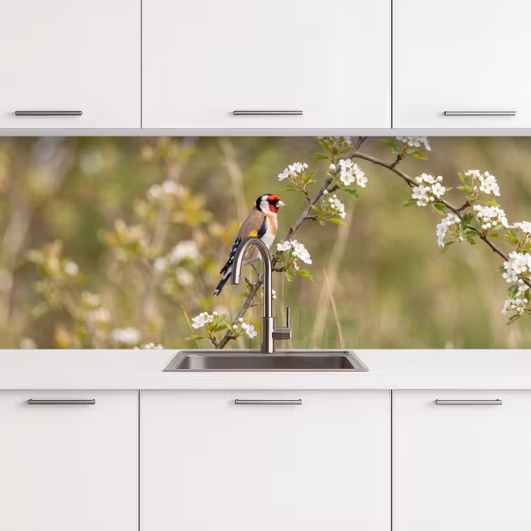 Putter - Bloesem - Lente - Natuur - Kleurrijk keuken achterwand 2 middel -3d