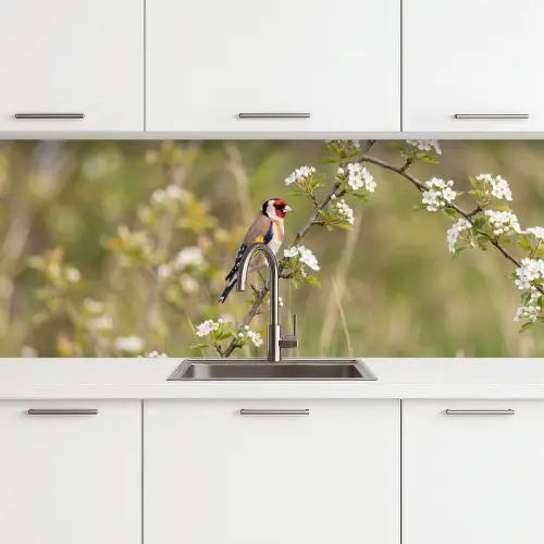 Putter - Bloesem - Lente - Natuur - Kleurrijk keuken achterwand 2 middel -3d