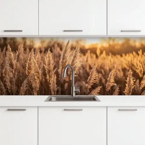 Rietpluimen - Gras - Zonsondergang - Goud - Serene keuken achterwand 2 middel -3d