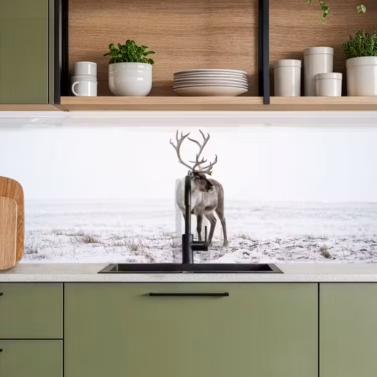 Rendier - Gewei - Sneeuw - Winter keuken achterwand 2 middel -sfeer3