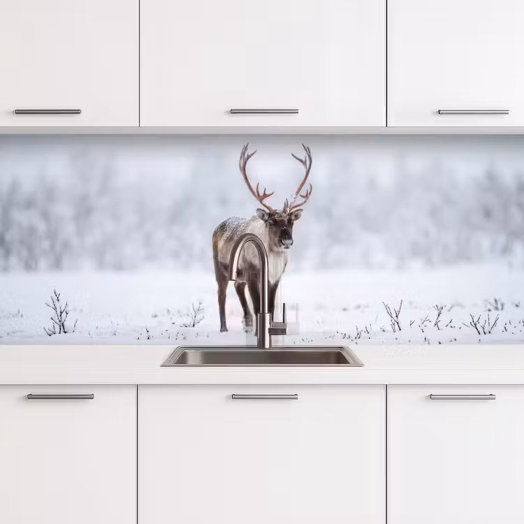 Rendier - Gewei - Toendra - Sneeuw - Wild keuken achterwand 2 middel -3d