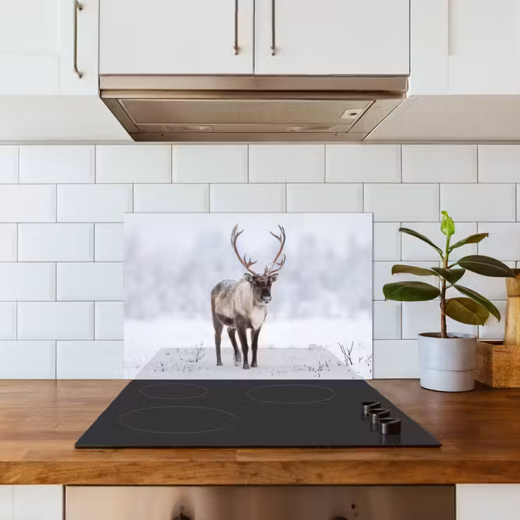 Rendier - Gewei - Toendra - Sneeuw - Wild keuken achterwand 2 middel -sfeer1