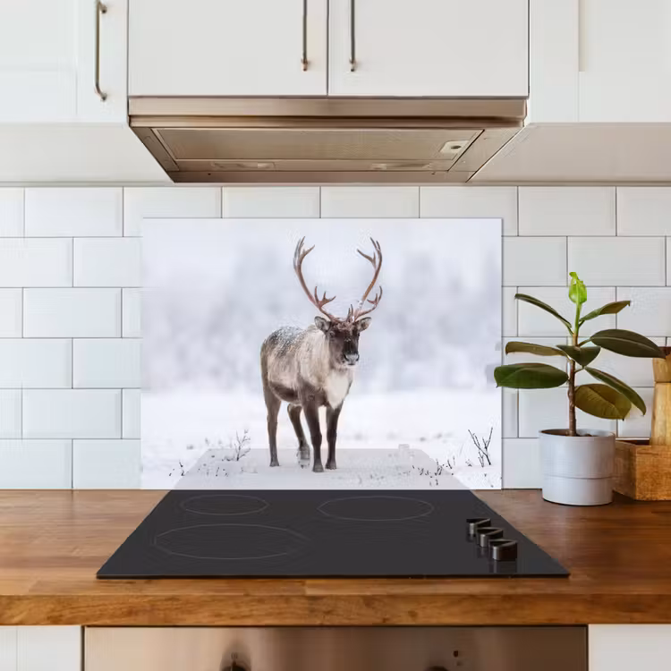 Rendier - Gewei - Toendra - Sneeuw - Wild keuken achterwand 2 middel -sfeer4_NL