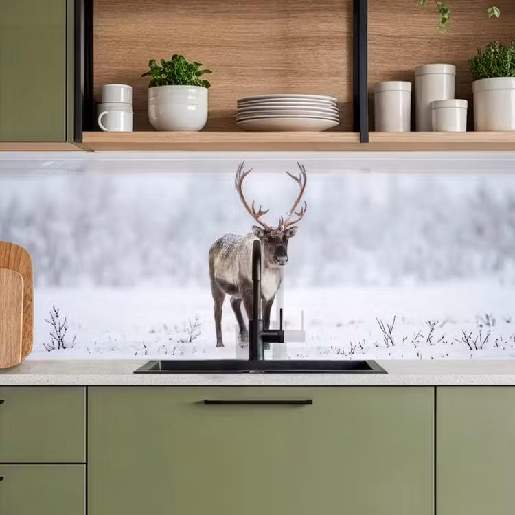 Rendier - Gewei - Toendra - Sneeuw - Wild keuken achterwand 2 middel -sfeer3