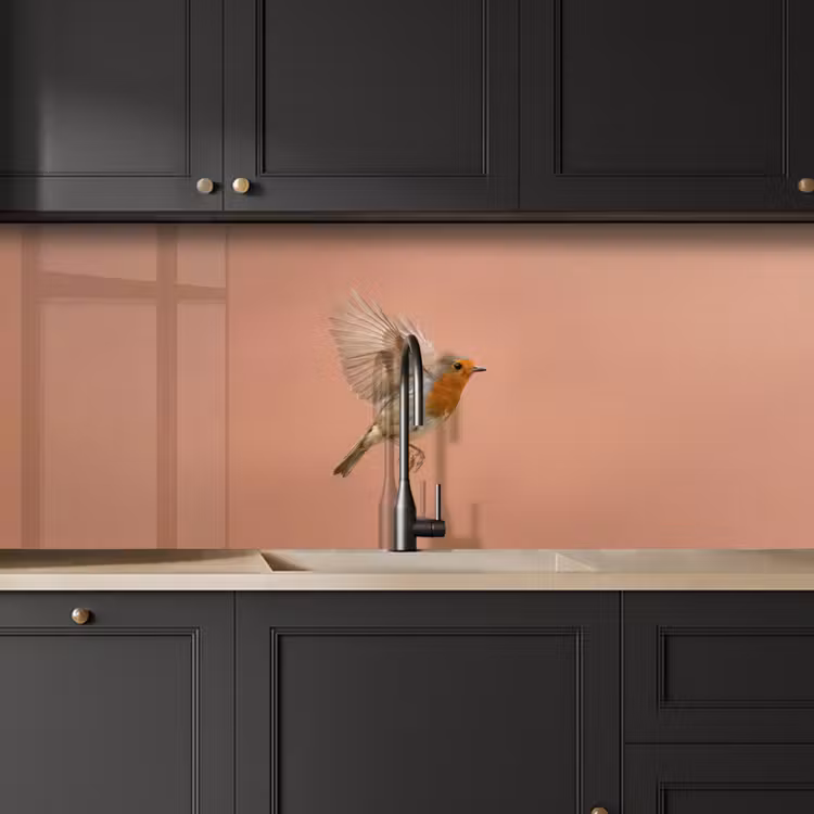 Roodborst - Natuur - Roze keuken achterwand 2 middel -sfeer1