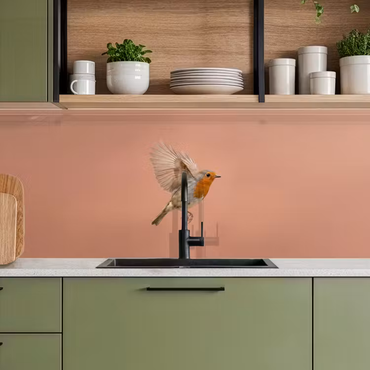 Roodborst - Natuur - Roze keuken achterwand 2 middel -sfeer3