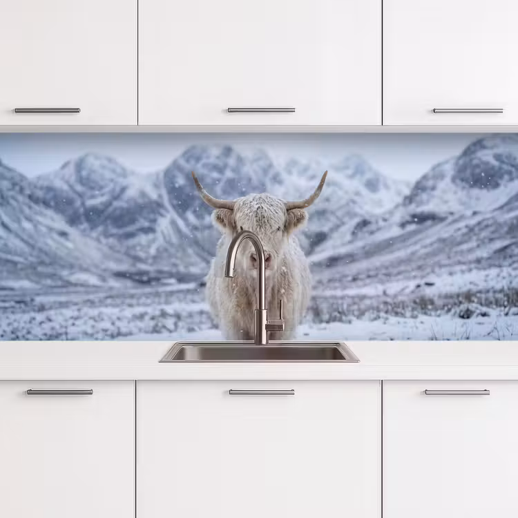 Schotse Hooglander - Sneeuw - Bergen - Winter keuken achterwand 2 middel -3d