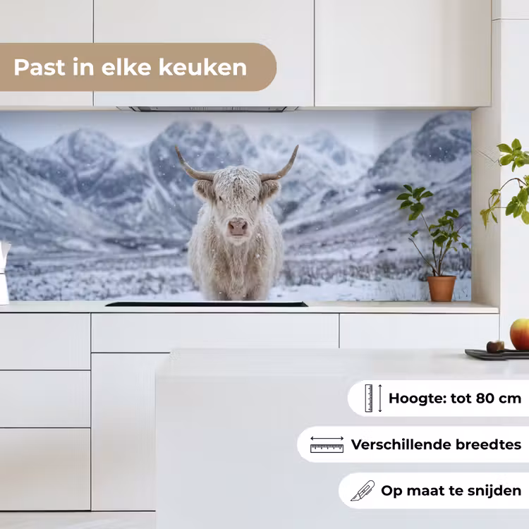 Schotse Hooglander - Sneeuw - Bergen - Winter keuken achterwand 2 middel -sfeer4_NL
