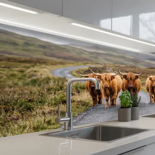 Schotse Hooglanders - Weg - Landschap - Kudde keuken achterwand 2 middel -3d_schuin