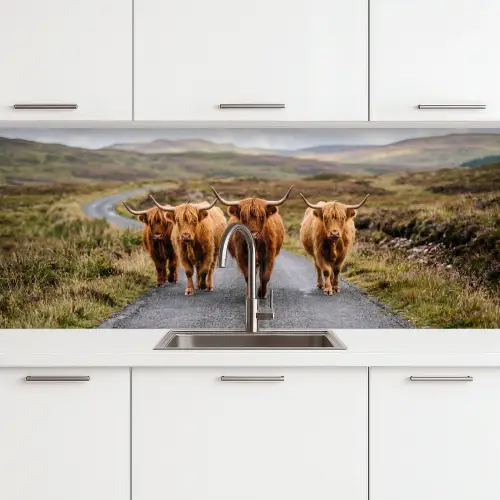 Schotse Hooglanders - Weg - Landschap - Kudde keuken achterwand 2 middel -3d