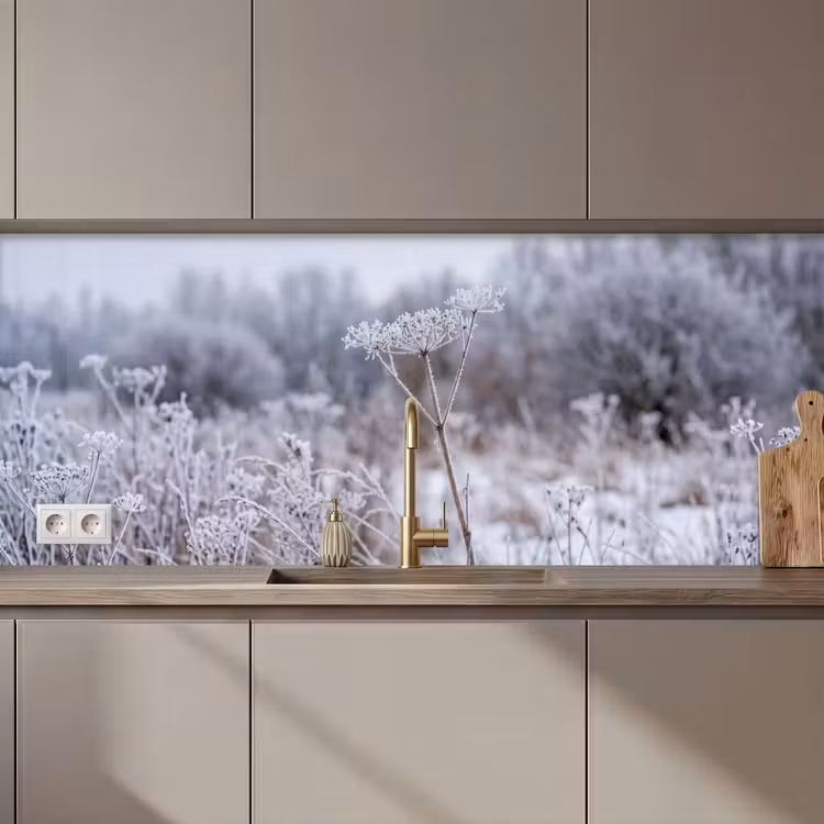 Schermbloem - Rijp - Kristallen - Winter - Delicaat keuken achterwand 2 middel zz_3dshopping