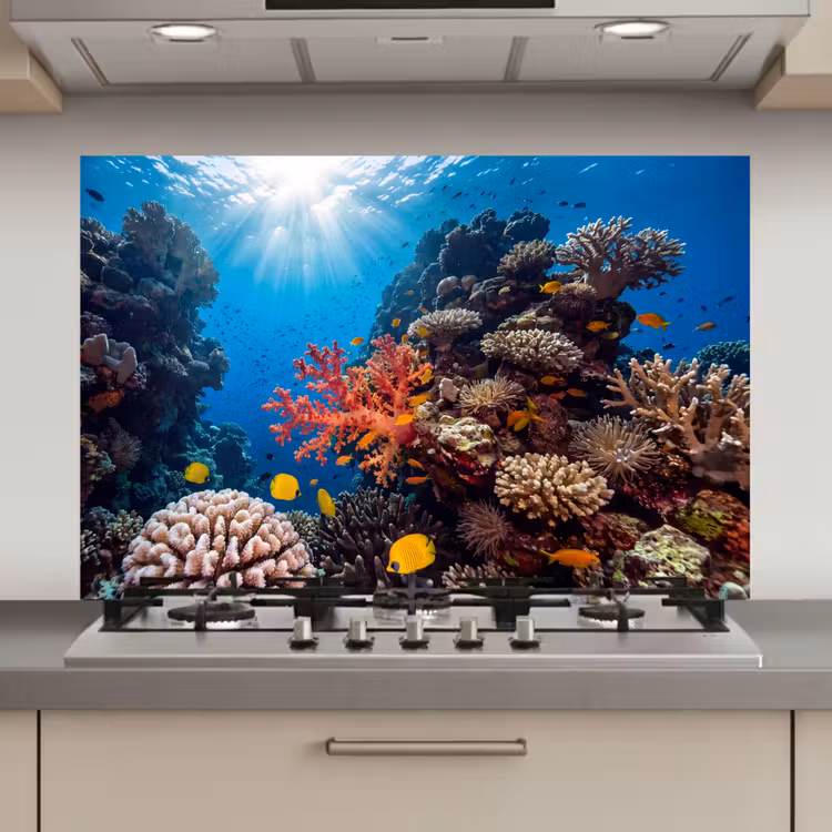 Zee - Koraalrif - Natuur - Levendig - Blauw keuken achterwand spatscherm klein -3d_website