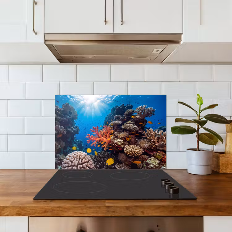 Zee - Koraalrif - Natuur - Levendig - Blauw keuken achterwand spatscherm klein -sfeer2