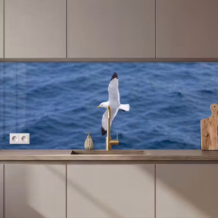 Zeemeeuw - Oceaan - Blauw keuken achterwand 2 middel zz_3dshopping