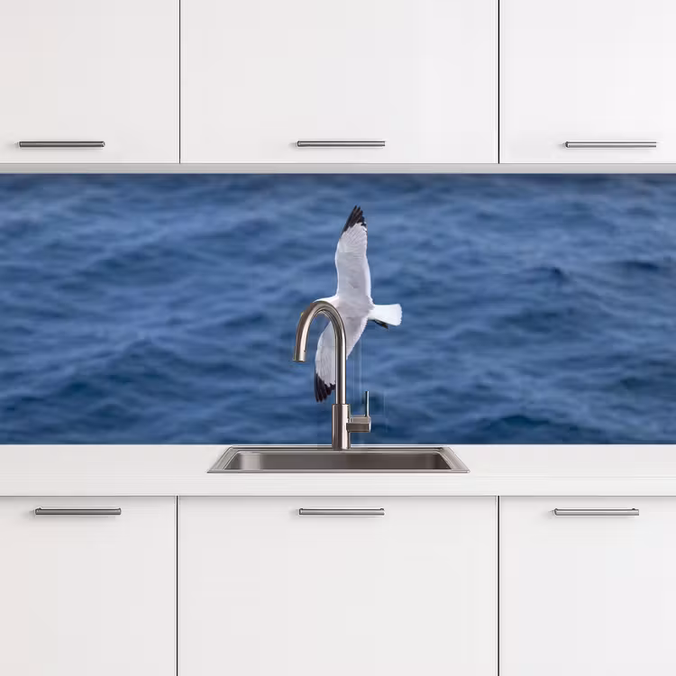 Zeemeeuw - Oceaan - Blauw keuken achterwand 2 middel -3d