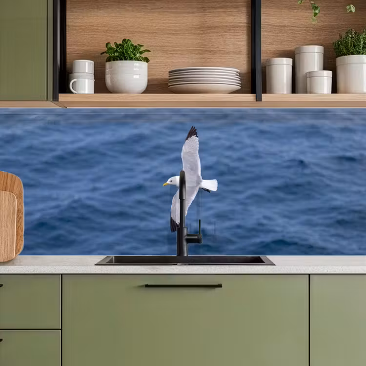 Zeemeeuw - Oceaan - Blauw keuken achterwand 2 middel -sfeer3