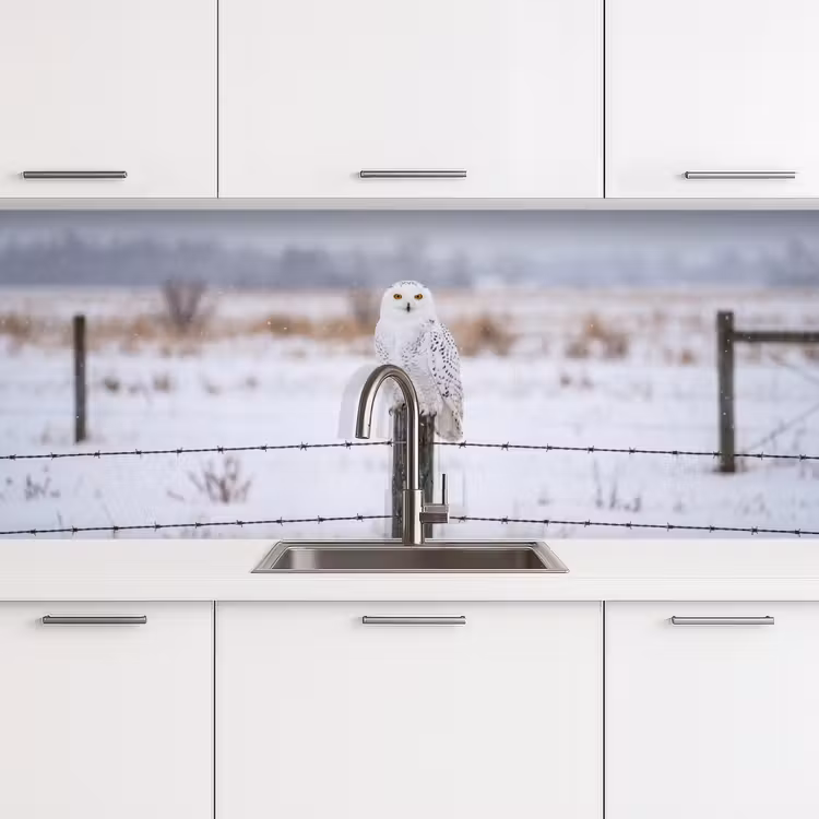 Sneeuwuil - Hek - Sneeuw - Wit keuken achterwand 2 middel -3d