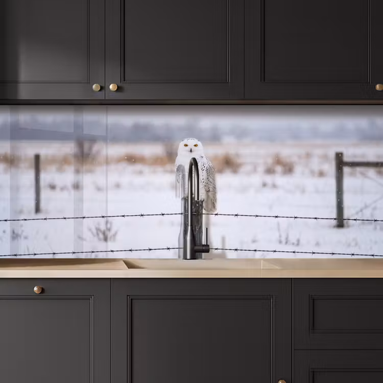 Sneeuwuil - Hek - Sneeuw - Wit keuken achterwand 2 middel -sfeer1