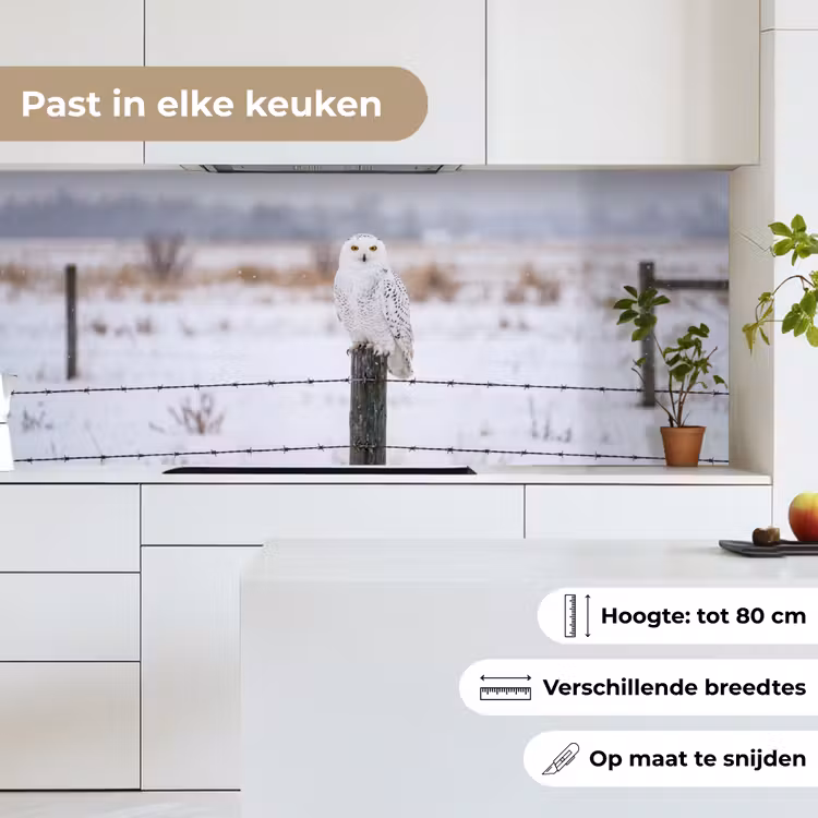 Sneeuwuil - Hek - Sneeuw - Wit keuken achterwand 2 middel -sfeer4_NL