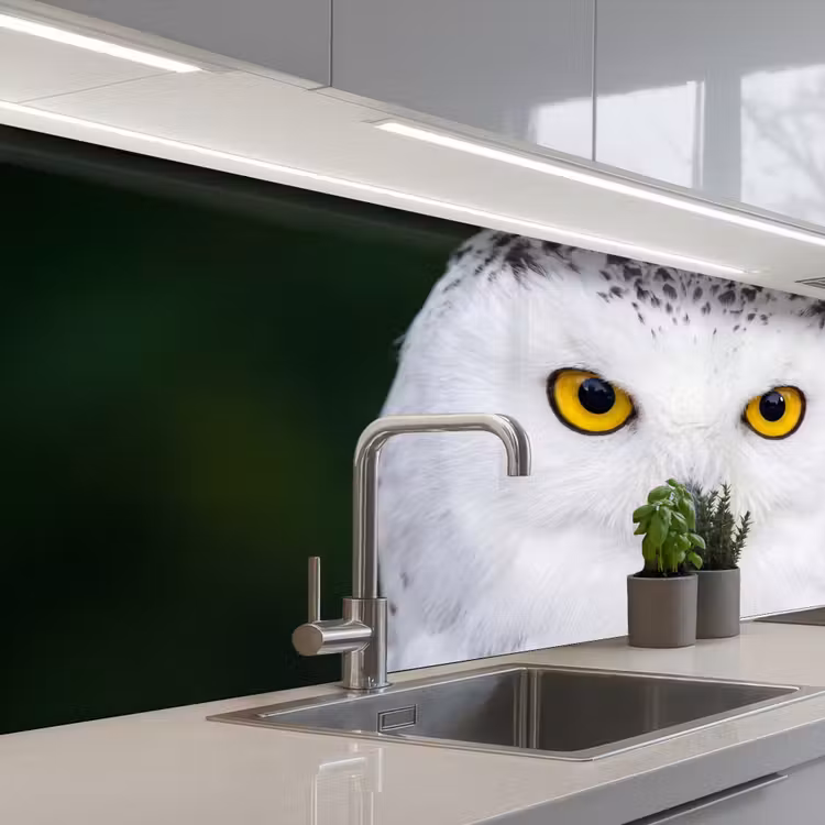 Sneeuwuil - Portret - Geel keuken achterwand 2 middel -3d_schuin