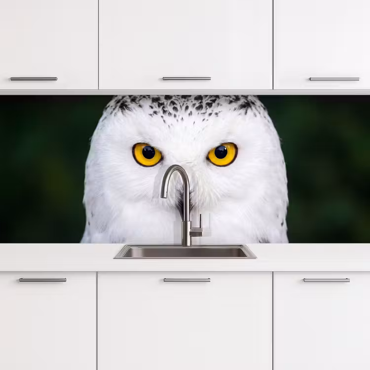 Sneeuwuil - Portret - Geel keuken achterwand 2 middel -3d