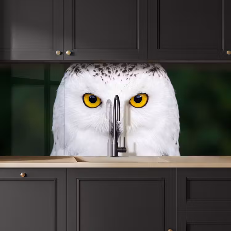 Sneeuwuil - Portret - Geel keuken achterwand 2 middel -sfeer1