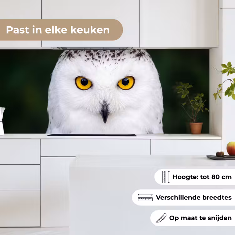 Sneeuwuil - Portret - Geel keuken achterwand 2 middel -sfeer4_NL