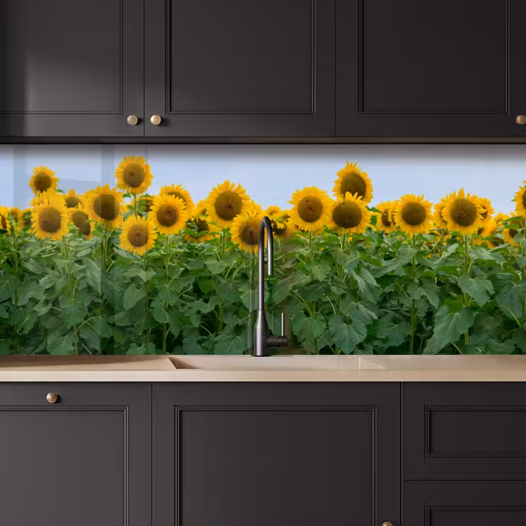 Zonnebloemen - Geel - Natuur keuken achterwand 2 middel -sfeer1