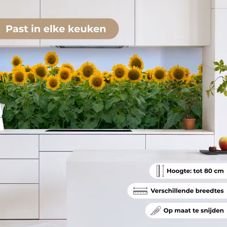 Zonnebloemen - Geel - Natuur keuken achterwand 2 middel -sfeer4_NL