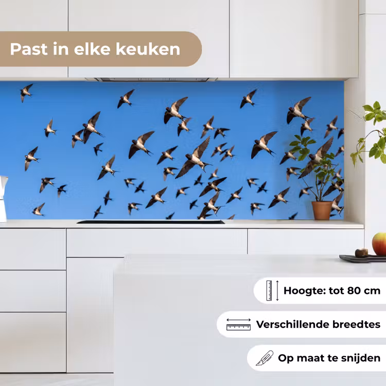 Zwaluwen - Vliegen - Blauw keuken achterwand 2 middel -sfeer4_NL