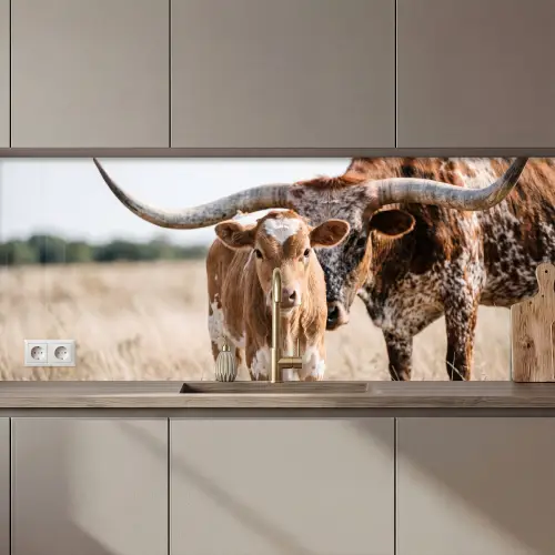 Texas Longhorn - Kalf - Weide - Dieren keuken achterwand 2 middel zz_3dshopping