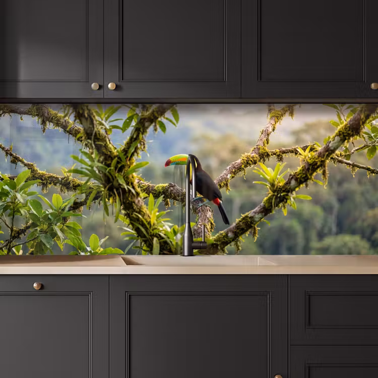 Toekan - Jungle - Natuur - Kleurrijk keuken achterwand 2 middel -sfeer1