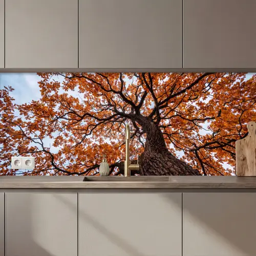 Boom - Bladerdak - Herfst - Oranje - Sfeervol keuken achterwand 2 middel zz_3dshopping
