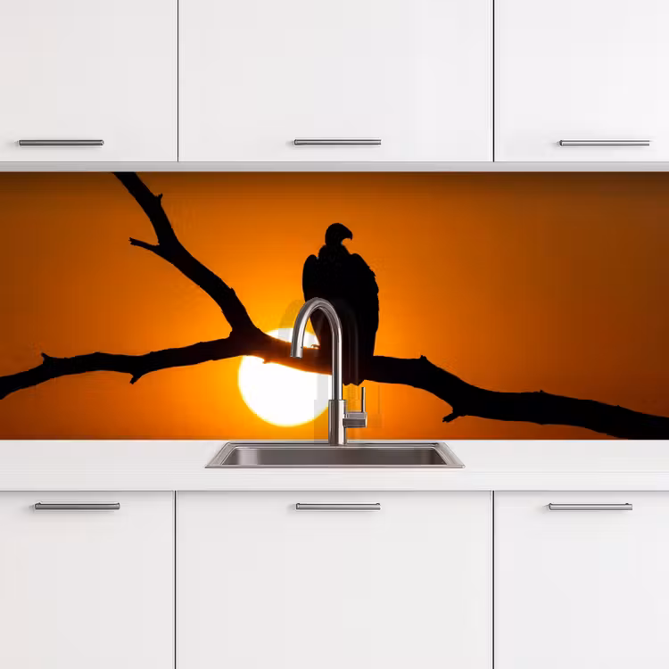 Gier - Tak - Zon - Oranje keuken achterwand 2 middel -3d