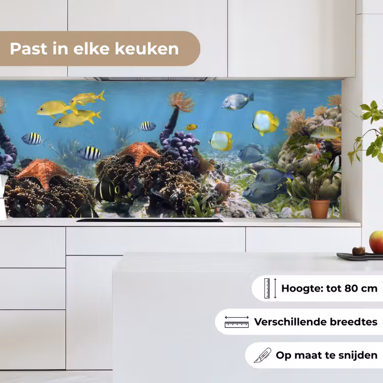 Water - Koralen - Vissen - Lichtinval keuken achterwand 2 middel -sfeer4_NL