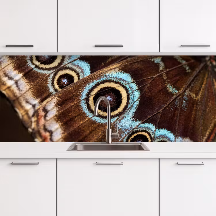 Vleugels - Vlinder - Blauw keuken achterwand 2 middel -3d