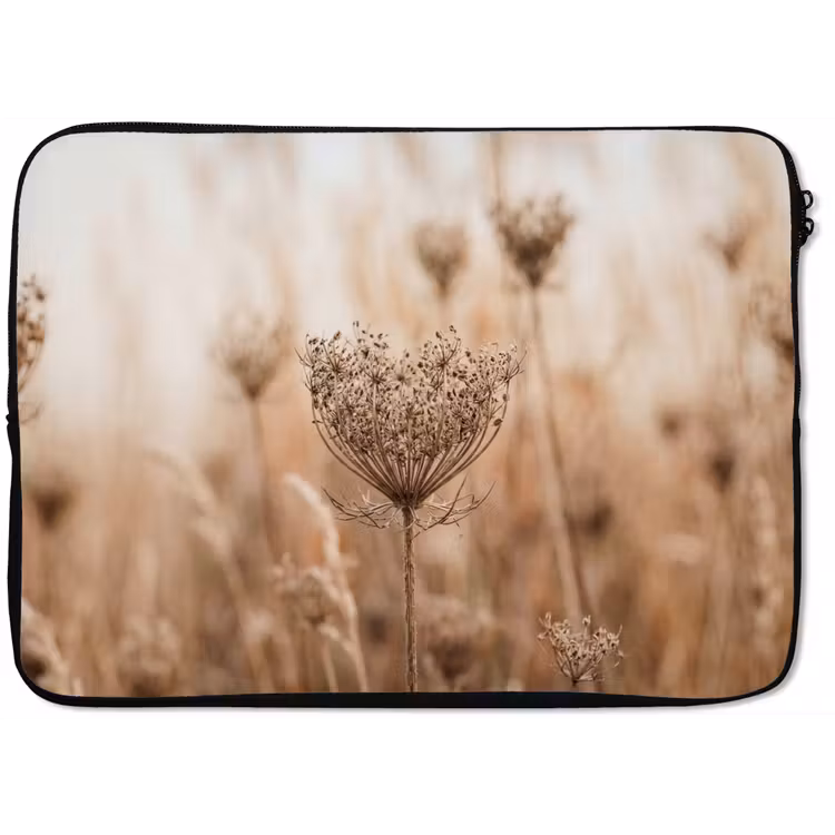 Schermbloem - Droogbloem - Winter - Beige - Minimalistisch laptophoes neopreen klein -zkaufland3dotto