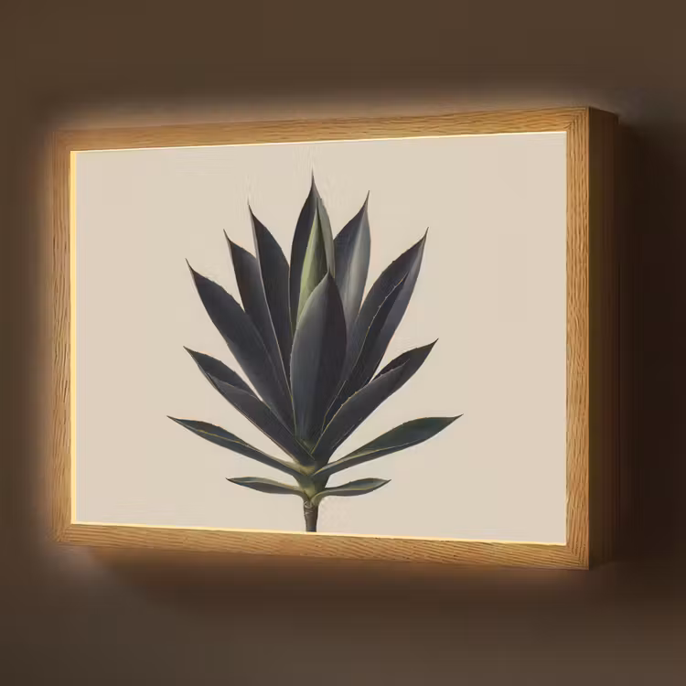 Agaveplant - Symmetrisch - Groen Light Box met batterij (Wandlamp) middel -z3d_website