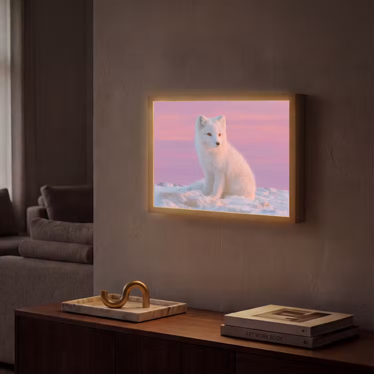 Poolvos - Sneeuw - Roze Light Box met batterij (Wandlamp) middel -sfeer1