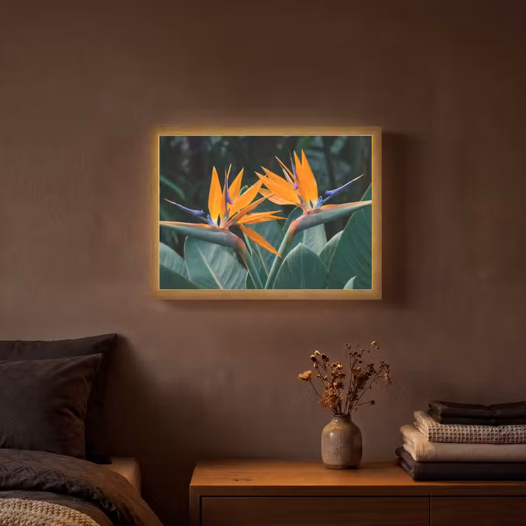 Paradijsvogel - Bloem - Exotisch Light Box met batterij (Wandlamp) middel -sfeer4