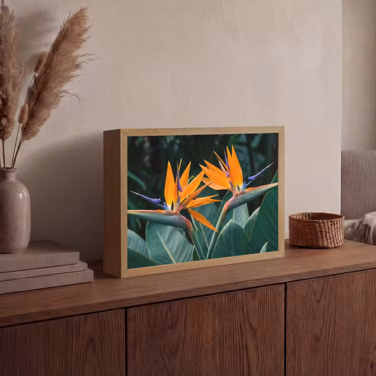 Paradijsvogel - Bloem - Exotisch Light Box met batterij (Wandlamp) middel -sfeer2