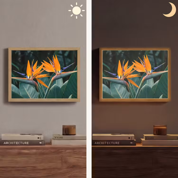Paradijsvogel - Bloem - Exotisch Light Box met batterij (Wandlamp) middel -sfeer3