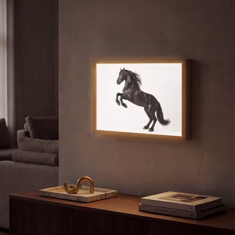 Zwart - Paard - Portret Light Box met batterij (Wandlamp) middel -sfeer1