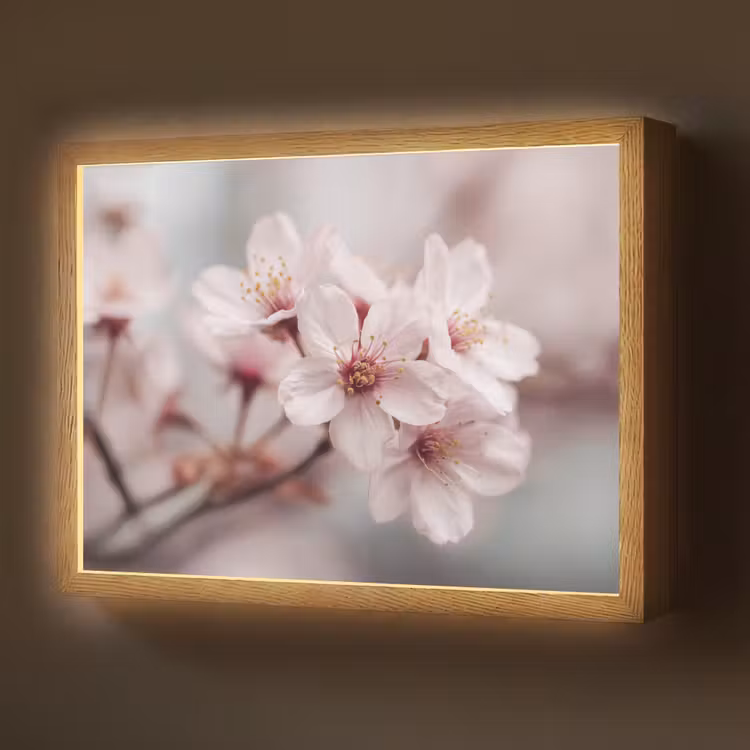 Bloesems - Meeldraden - Geel - Wazig Light Box met batterij (Wandlamp) middel -z3d_website