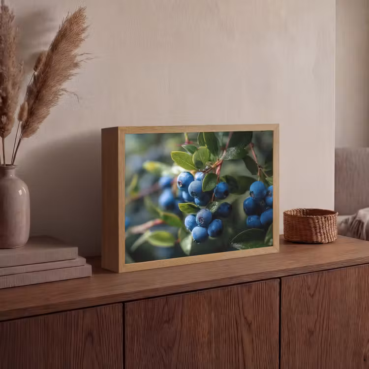 Blauwe bessen - Dauwdruppels - Natuurlijk licht Light Box met batterij (Wandlamp) middel -sfeer2