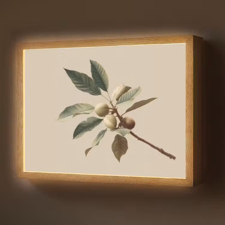Tak - Groene Bladeren - Vruchten Light Box met batterij (Wandlamp) middel -z3d_website