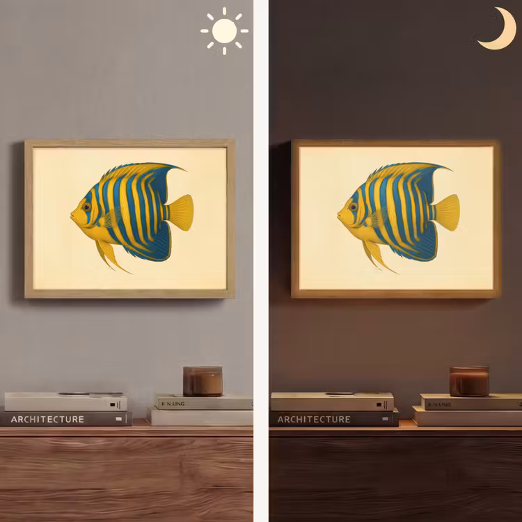 Felgeel - Vis - Strepen - Vinnen Light Box met batterij (Wandlamp) middel -sfeer3